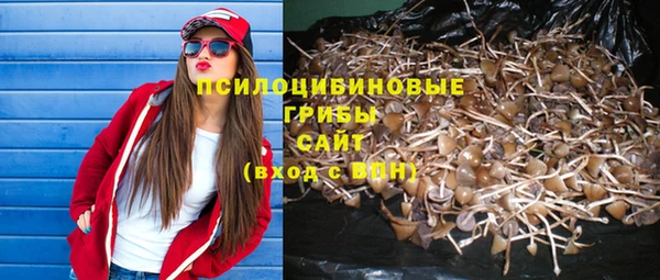 марихуана Богородицк
