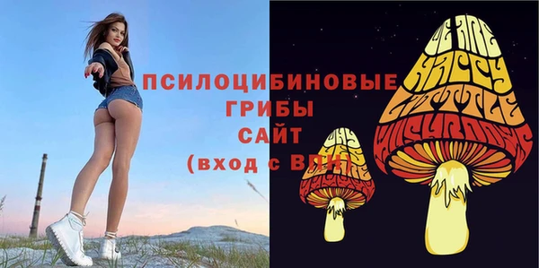 марихуана Богородицк